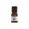 Niaouli - Huile essentielle 10ml