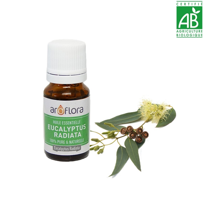 Huile essentielle BIO - Eucalyptus Radiata 100 % pure et naturelle